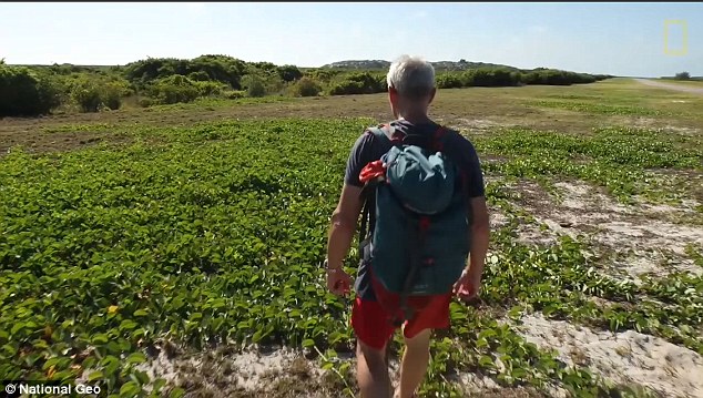 Later, the host said the tortoise had ended up chasing them for about 365 metres in a circle